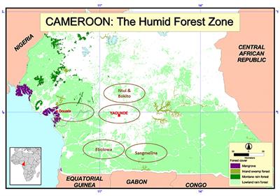 Positive Influence of Certification on the Financial Performance of Cocoa Production Models in Cameroon